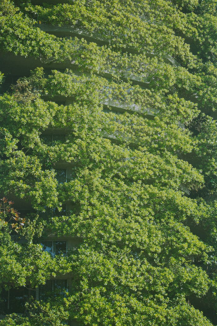 services-01 Close-up of a building facade covered with lush green vertical garden.