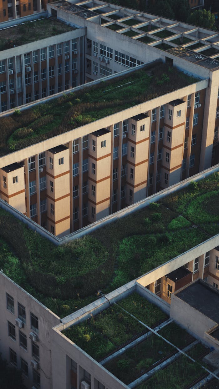 why-choose-us Aerial shot showcasing green rooftop gardens amidst urban buildings, promoting eco-friendly architecture.