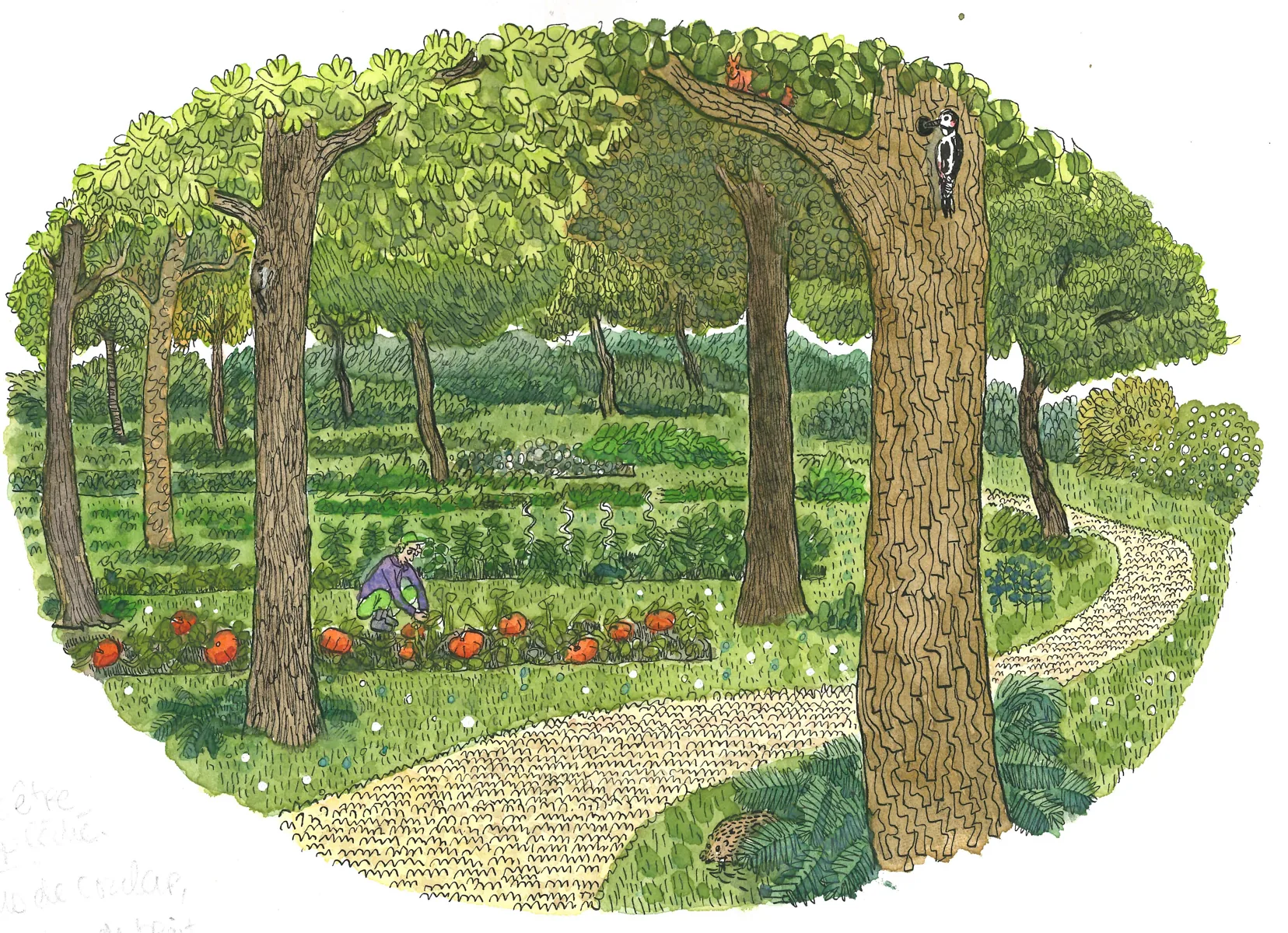 Illustration du vivant et de ses fonctions